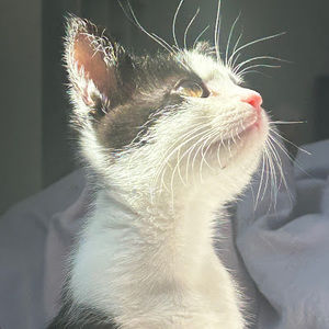 Meet your Posher, Lily